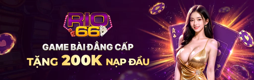 banner rio66